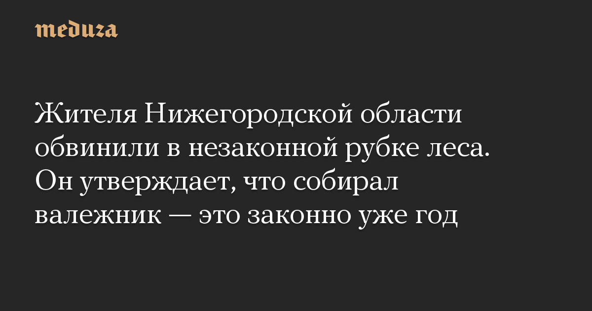 Жителя Нижегородской области обвинили в незаконной рубке леса. Он утверждает, что собирал валежник  это законно уже год