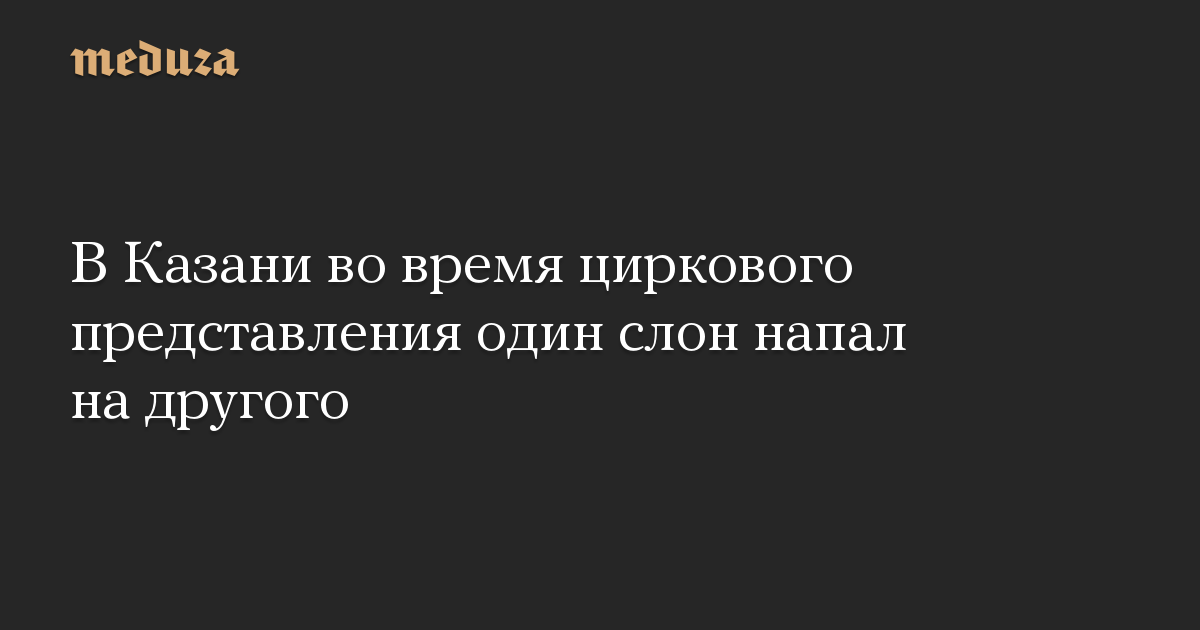 В Казани во время циркового представления один слон напал на другого